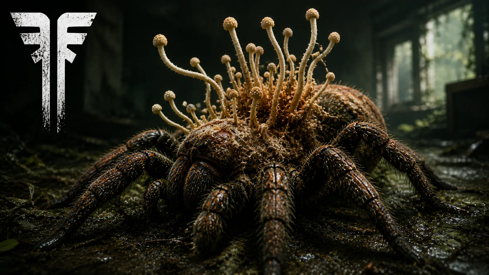 Fungo cordyceps parasitando uma tarântula, brotando do corpo do aracnídeo em uma imagem que remete a seriados de ficção