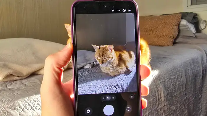 Close-up de um cão com a interface da plataforma Lifet sobreposta, indicando uma análise de saúde por inteligência artificial.