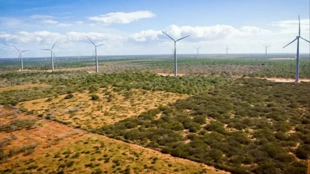 Visão aérea de um complexo eólico com diversas turbinas geradoras de energia, sob um céu azul, representando inovação e sustentabilidade.